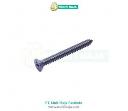Stainless Steel : SUS 304 FH Flat Head Tapping Screw (Sekrup) DIN7982